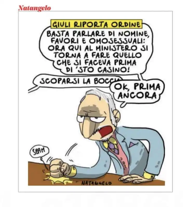 VIGNETTA DI NATANGELO SUI CASI GIULI-SPANO E BOCCIA-SANGIULIANO 