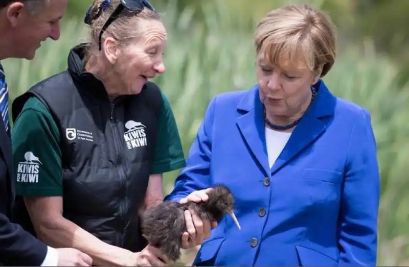 angela merkel in nuova zelanda 15