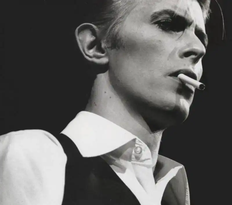 david bowie  1