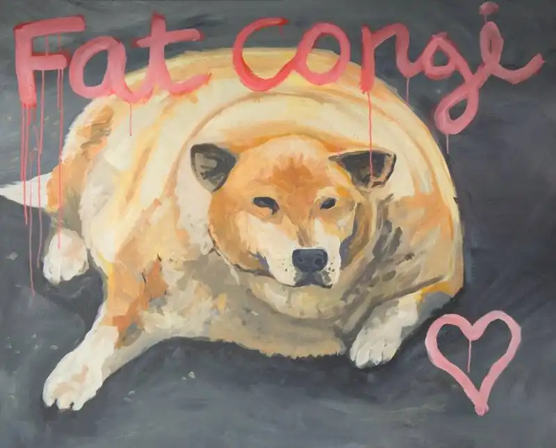 fat corgi