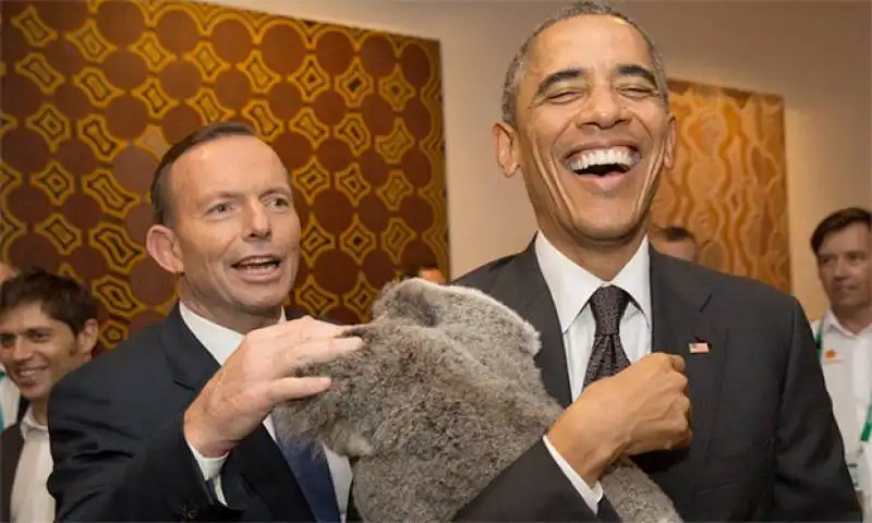 obama tony abbott koala 