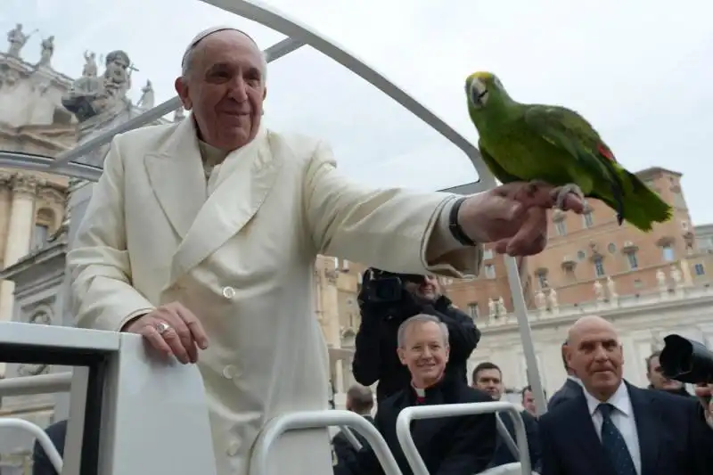 papa francesco ghyblj lombardi e il pappagallo amore 4