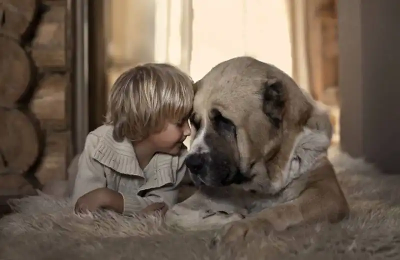 piccoli bambini e grandi cani 18