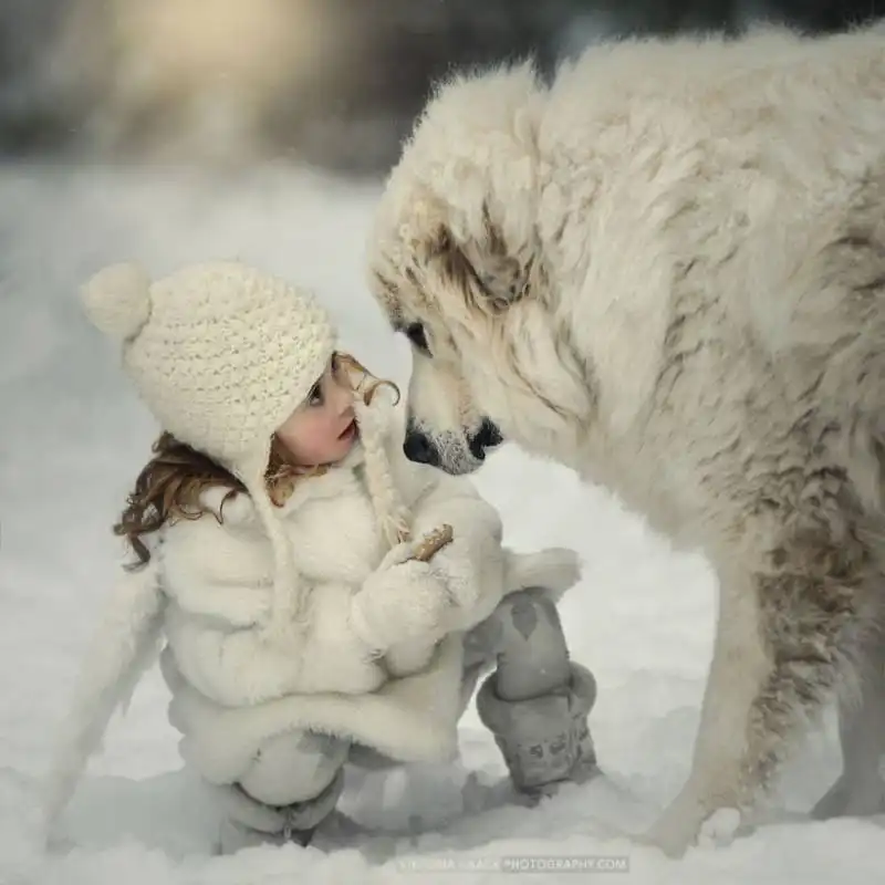 piccoli bambini e grandi cani 19