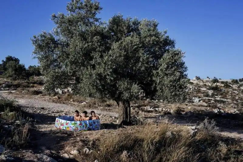 piscina sotto gli ulivi a kufr nima