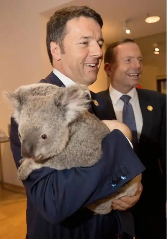 renzi con il koala