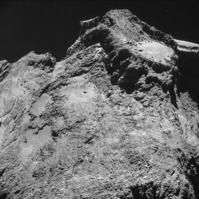 rosetta 12