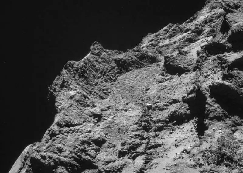 rosetta 7