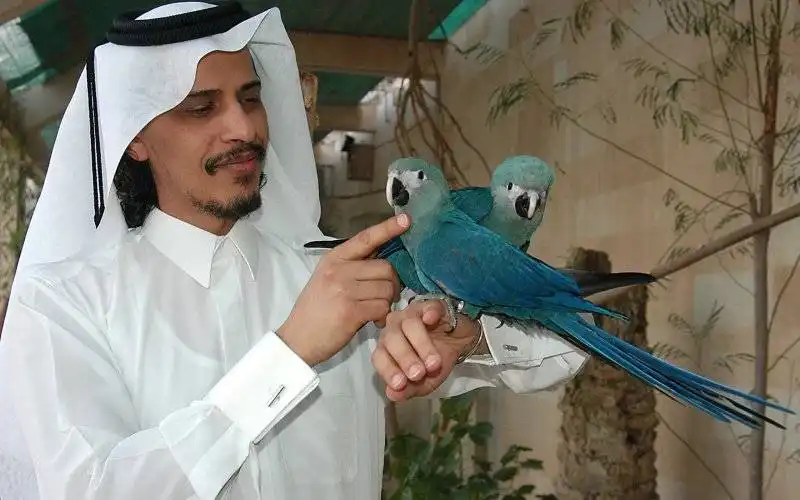 Sheikh Saud Al-Thani