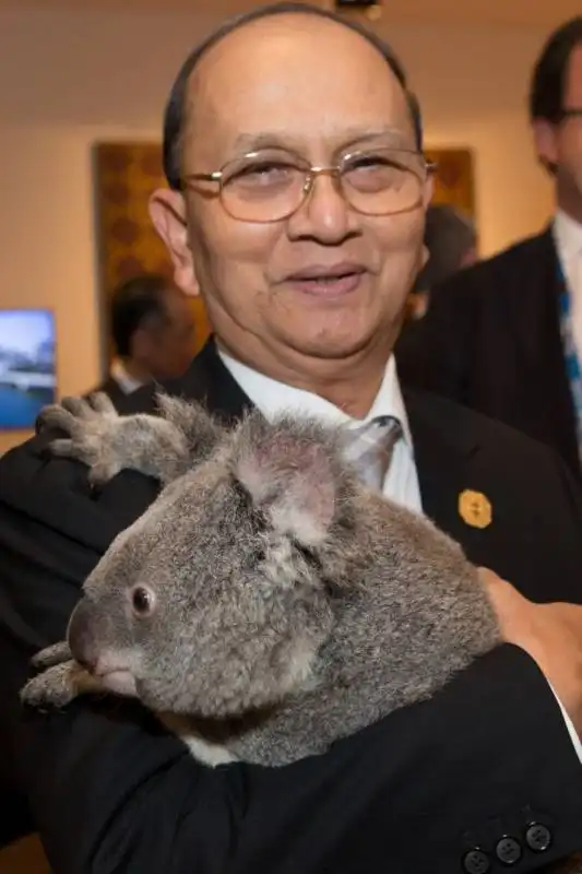 thein sein di birmania koala