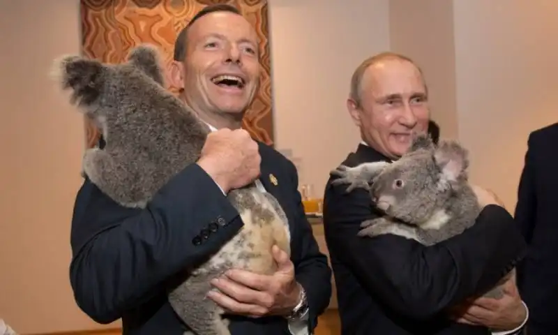 tony abbott putin koala