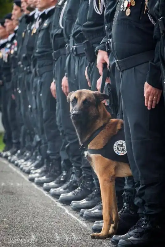 diesel a una parata delle forze di polizia