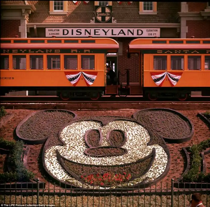 disneyland   6