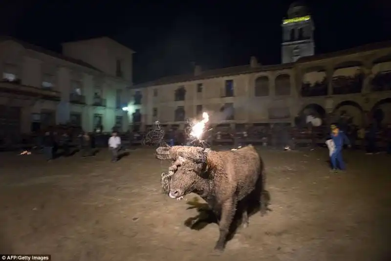 festival toro de jubilo   1