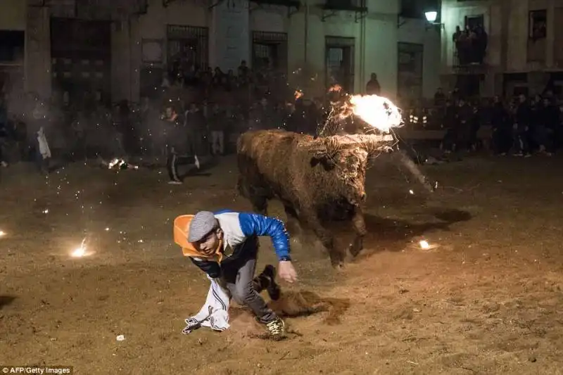 festival toro de jubilo   3