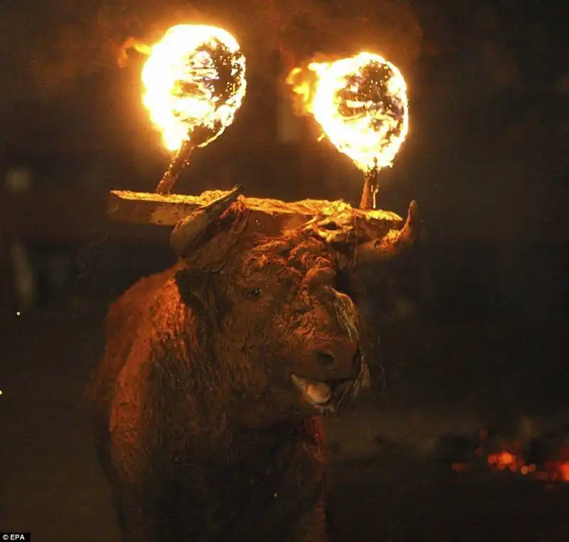 festival toro de jubilo   7