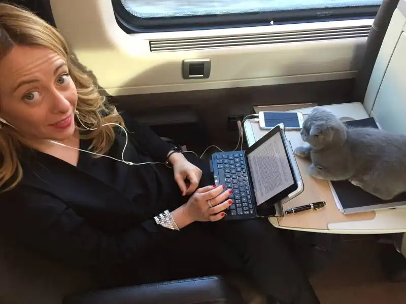 giorgia meloni in treno con il gatto  3