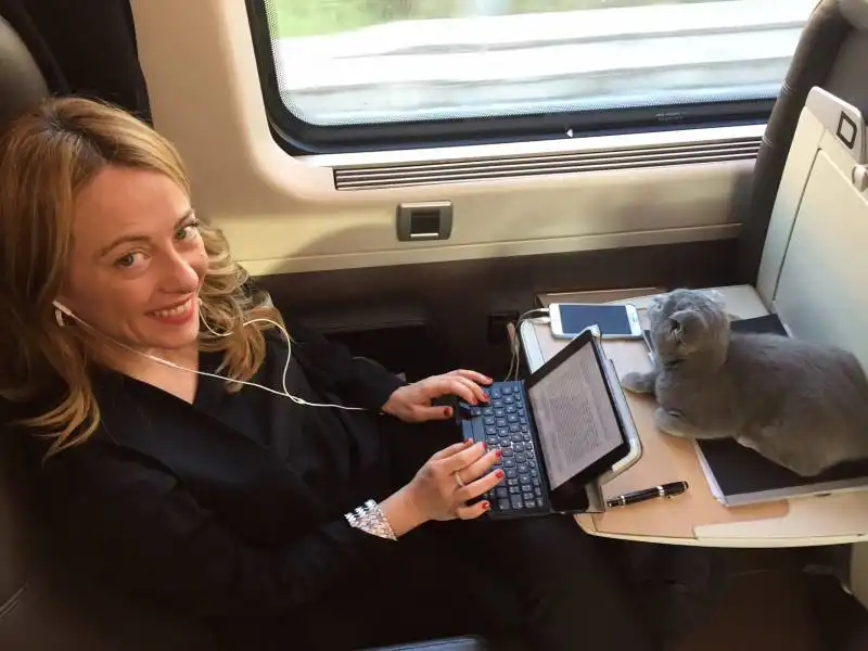 giorgia meloni in treno con il gatto  4