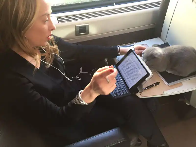 giorgia meloni in treno con il gatto  