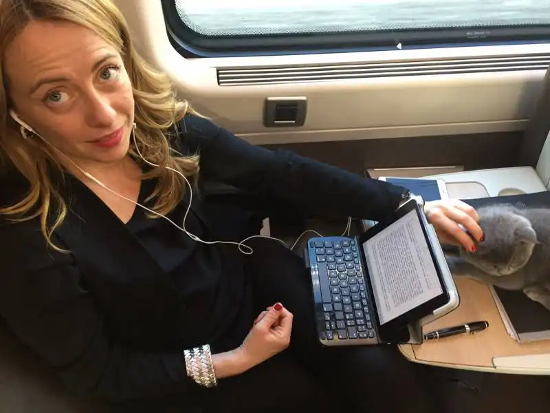 giorgia meloni in treno con il gatto 