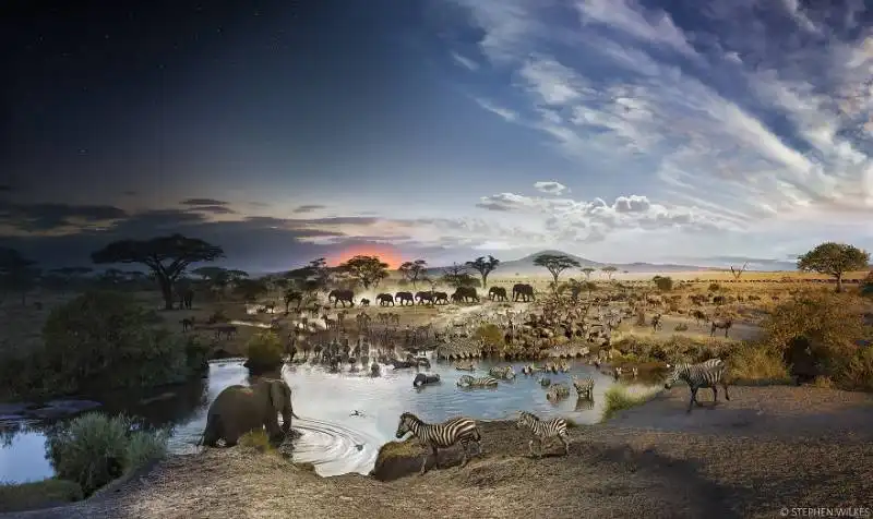 serengeti national park tanzania