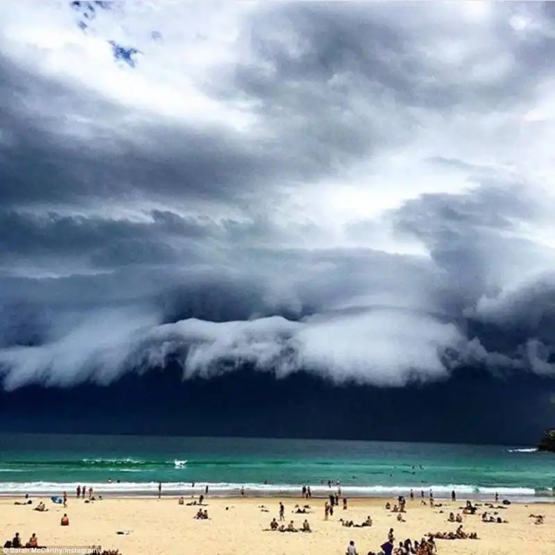 tempesta sydney 8