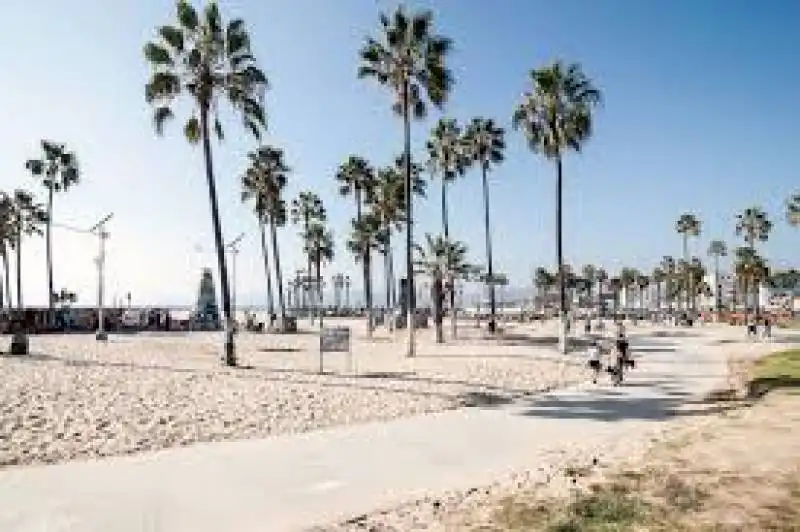 venice beach