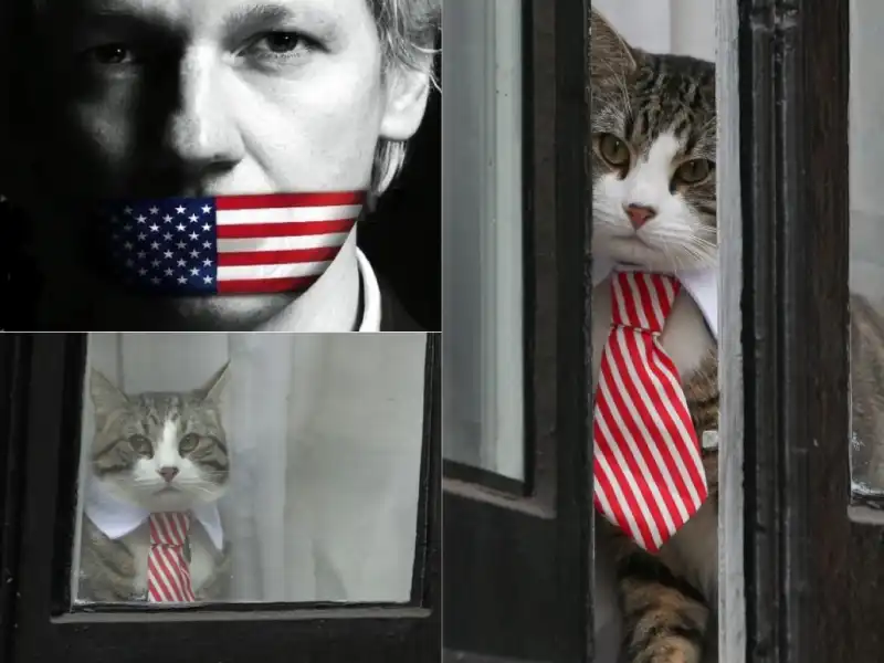 ASSANGE