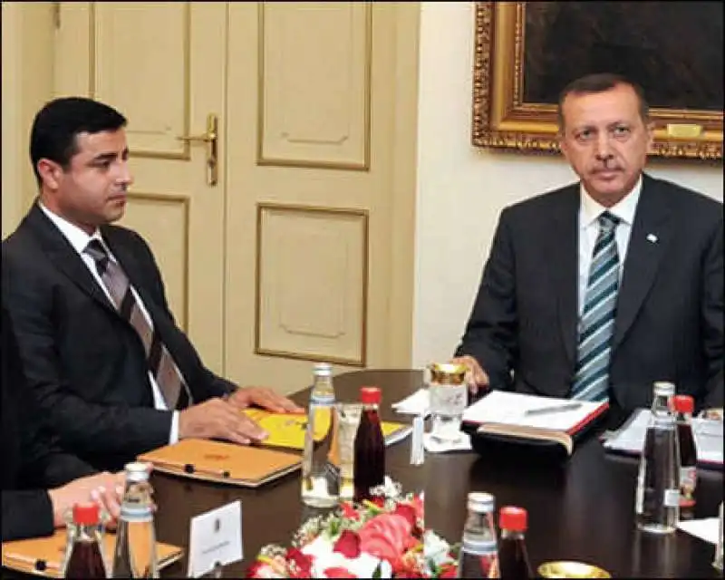 DEMIRTAS E ERDOGAN