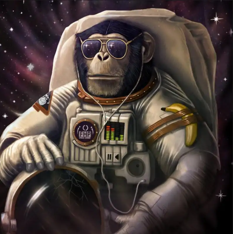 MACACO ASTRONAUTA 1