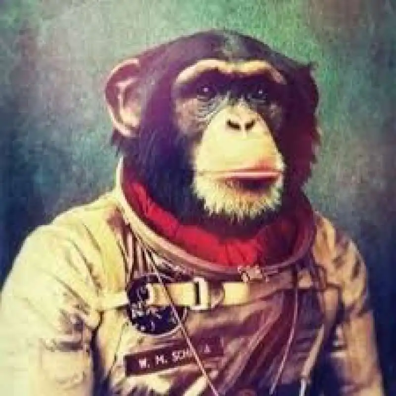 MACACO ASTRONAUTA