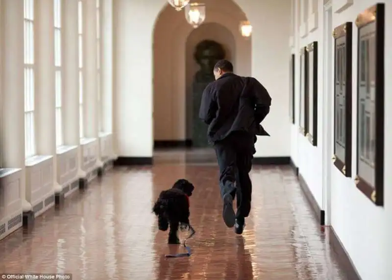 obama con il cane bo