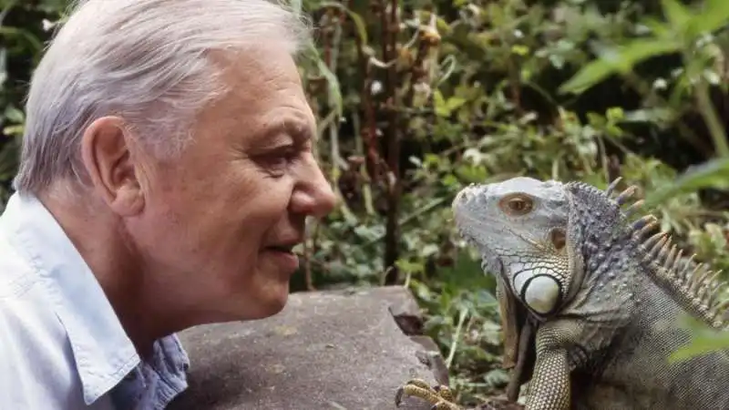 Sir David Attenborough 