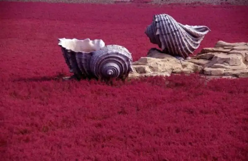 SPIAGGIA ROSSA CINA - 3