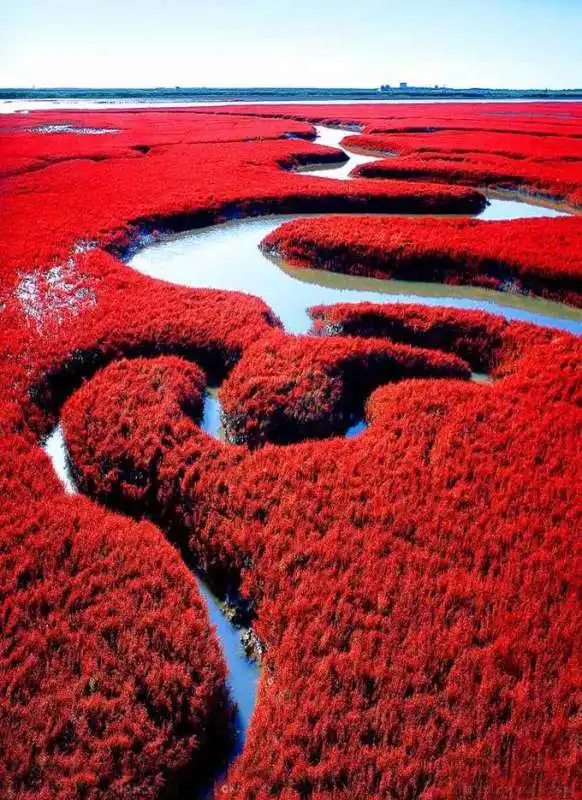 SPIAGGIA ROSSA CINA - 5