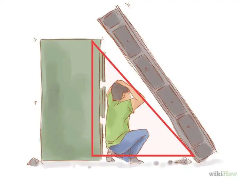 terremoto  triangolo della vita