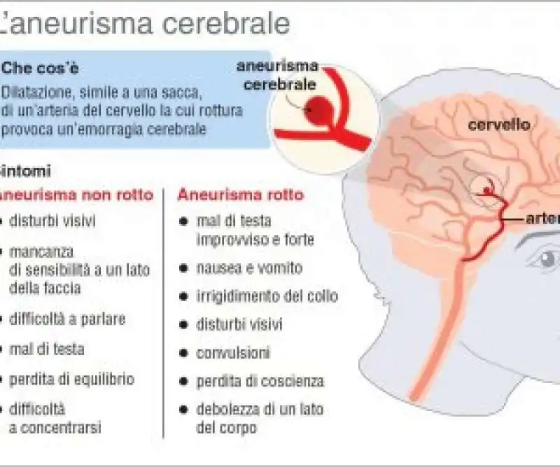 ANEURISMA 4