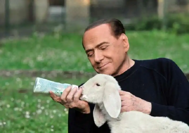 berlusconi agnello