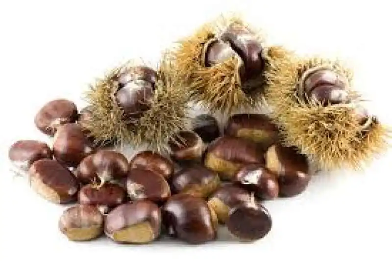 castagne 3