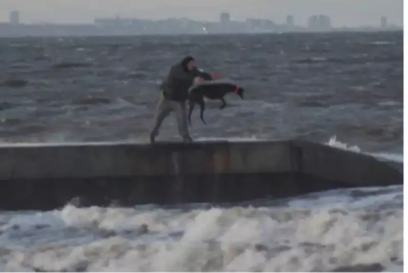 Hartlepool CANE GETTATO IN ACQUA 3