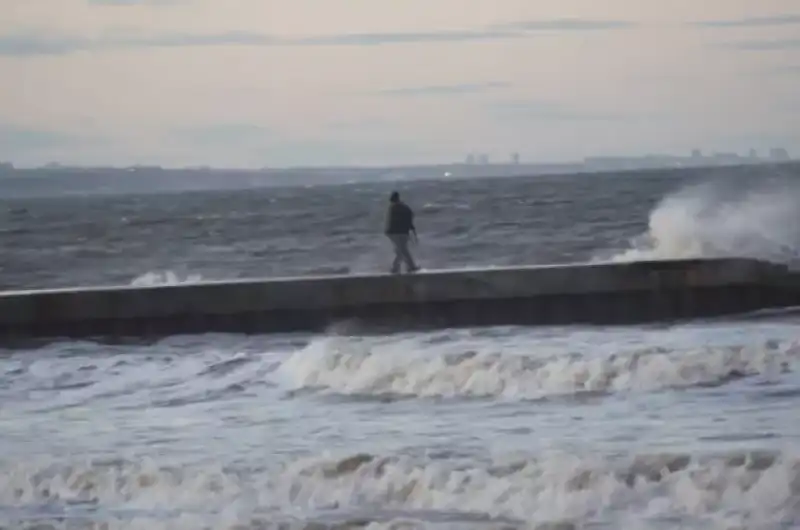 Hartlepool CANE GETTATO IN ACQUA 4