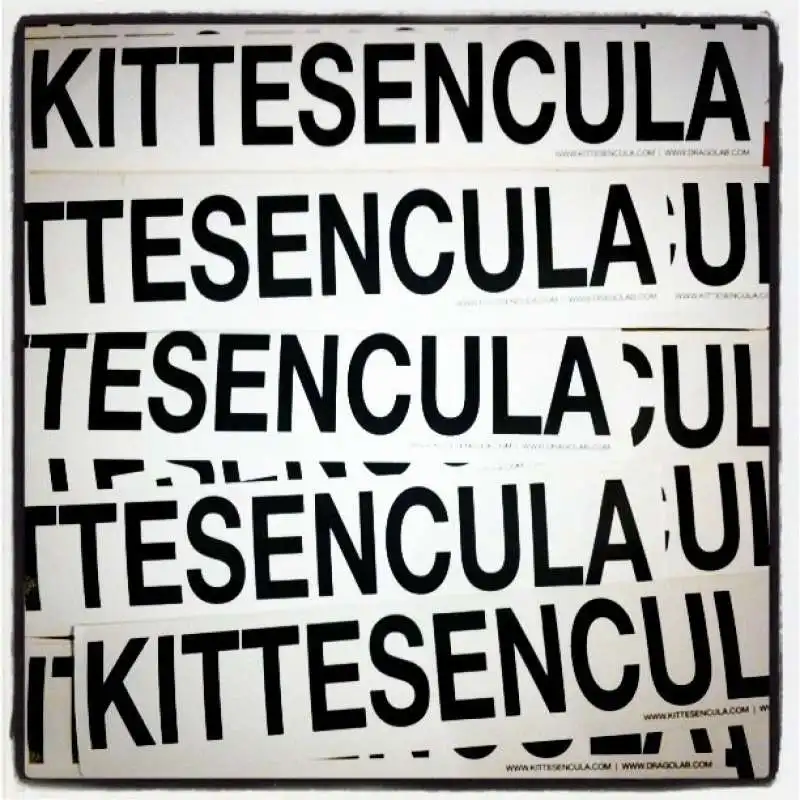 kittesencula