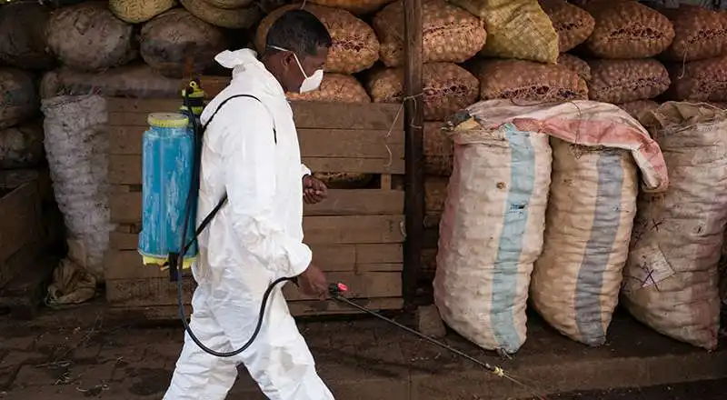 MADAGASCAR - EPIDEMIA DI PESTE