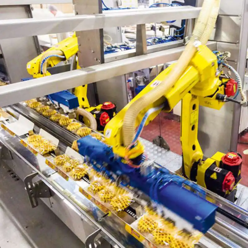 Robotica  nell Industria alimentare