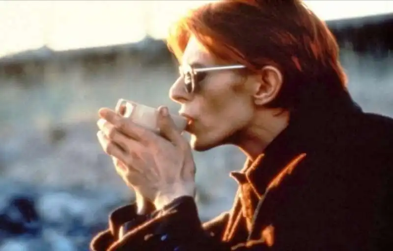 david bowie in l'uomo che cadde sulla terra 1