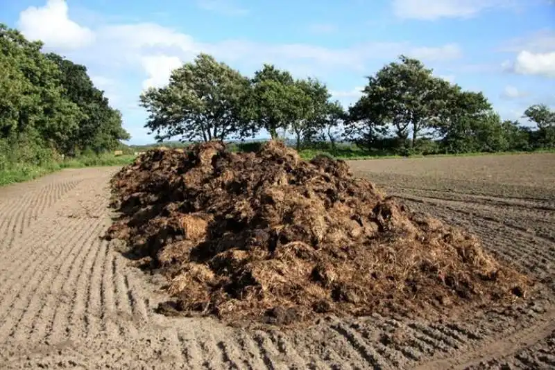 fertilizzanti agricoltura biologica