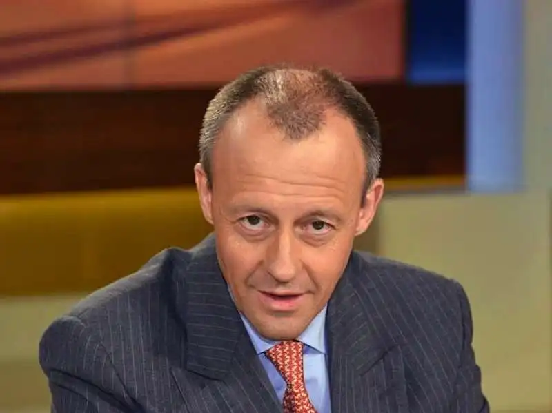 friedrich merz 3