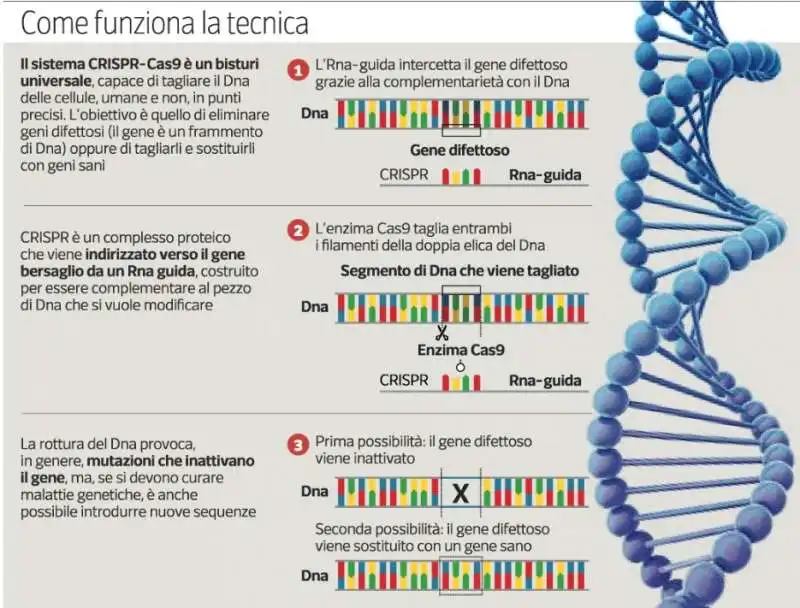 GEMELLINE NATE CON DNA MODIFICATO IN CINA