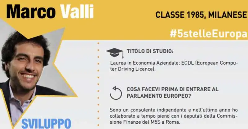 l'europarlamentare grillino marco valli e il mistero del curriculum scomparso 2