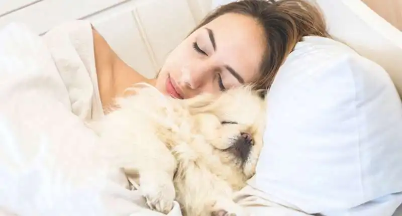 le donne preferiscono dormire con i cani 4